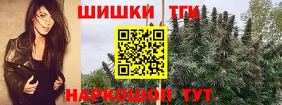 гашик Лесосибирск