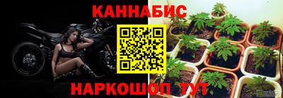 гашик Лесосибирск