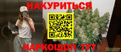 гашик Лесосибирск