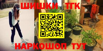 гашик Лесосибирск