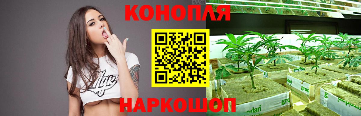 Шишки марихуана марихуана  МАРИХУАНА ГИДРОПОН  Каннабис индика  Шишки марихуана сатива  Волгодонск  Вход с VPN 